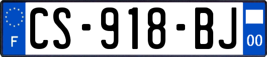 CS-918-BJ