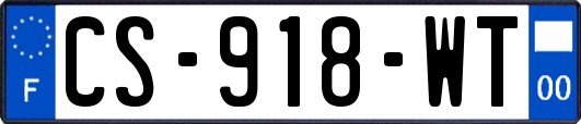 CS-918-WT