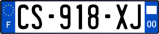 CS-918-XJ