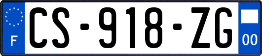 CS-918-ZG