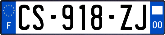 CS-918-ZJ