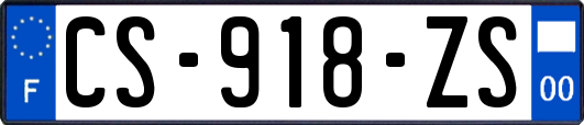 CS-918-ZS