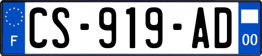 CS-919-AD