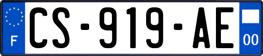 CS-919-AE