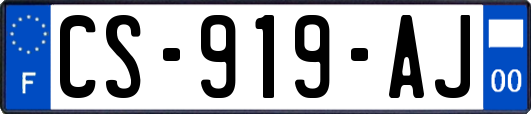 CS-919-AJ