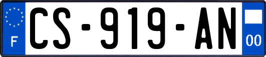 CS-919-AN