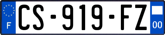 CS-919-FZ