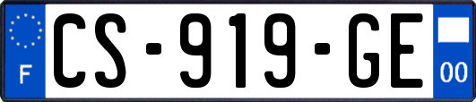CS-919-GE