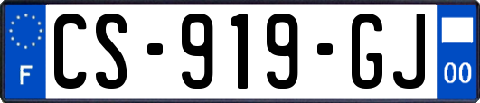 CS-919-GJ
