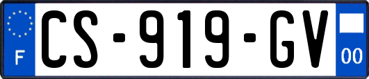 CS-919-GV