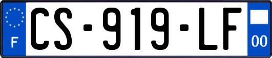 CS-919-LF