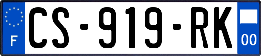 CS-919-RK