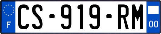 CS-919-RM