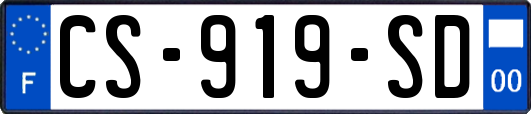 CS-919-SD