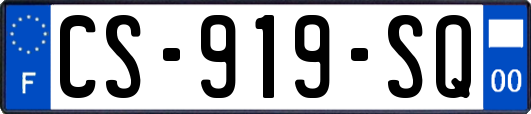 CS-919-SQ