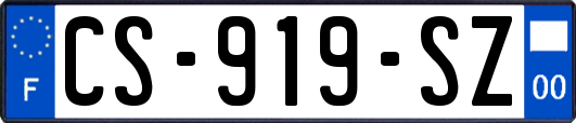 CS-919-SZ