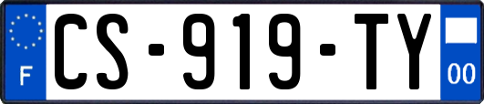 CS-919-TY
