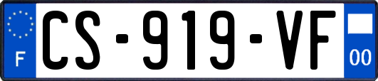 CS-919-VF