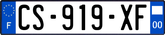 CS-919-XF