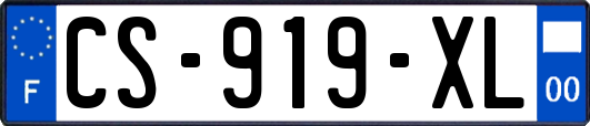 CS-919-XL