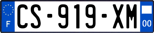 CS-919-XM