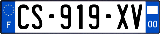 CS-919-XV