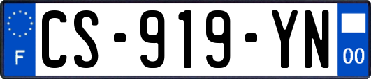 CS-919-YN