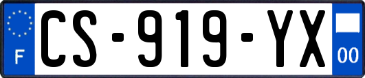 CS-919-YX
