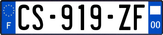 CS-919-ZF