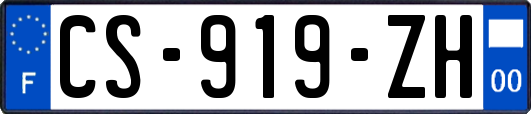 CS-919-ZH