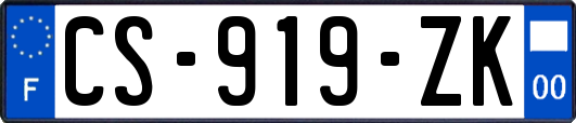 CS-919-ZK