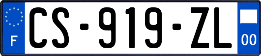 CS-919-ZL