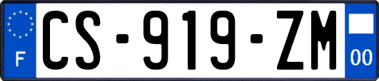 CS-919-ZM