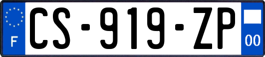 CS-919-ZP