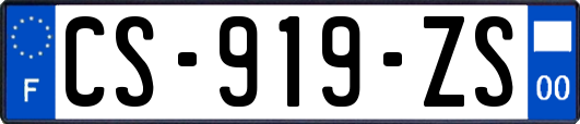 CS-919-ZS