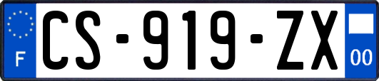 CS-919-ZX