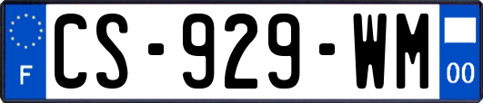 CS-929-WM