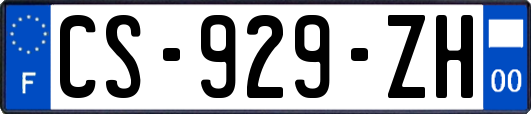 CS-929-ZH