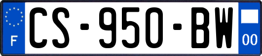 CS-950-BW