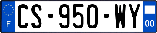 CS-950-WY