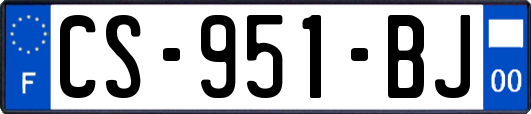 CS-951-BJ