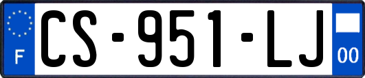 CS-951-LJ