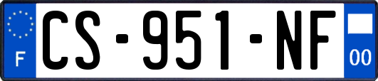 CS-951-NF