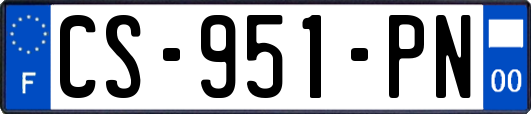 CS-951-PN
