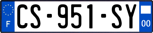CS-951-SY