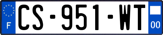 CS-951-WT