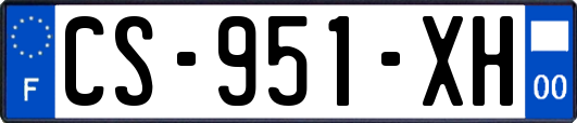 CS-951-XH