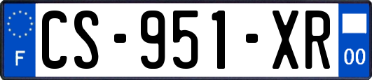 CS-951-XR