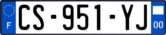 CS-951-YJ