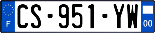 CS-951-YW